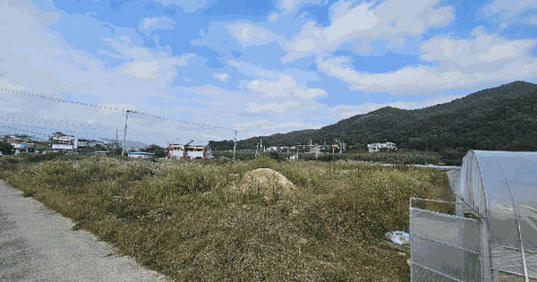경상북도 김천시 남면 봉천리 1816-94 과수원 경매 물건 이미지