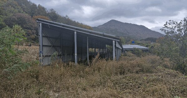 경상북도 포항시 북구 죽장면 두마리 678  동물 및 식물 관련시설 경매 물건 이미지
