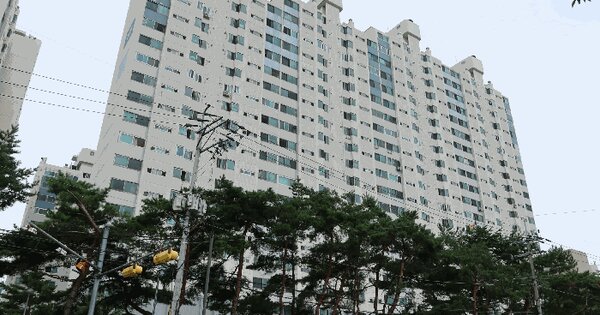 경기도 남양주시 오남읍 양지리 105 삼신아파트 101동 19층1908호 아파트 경매 물건 이미지