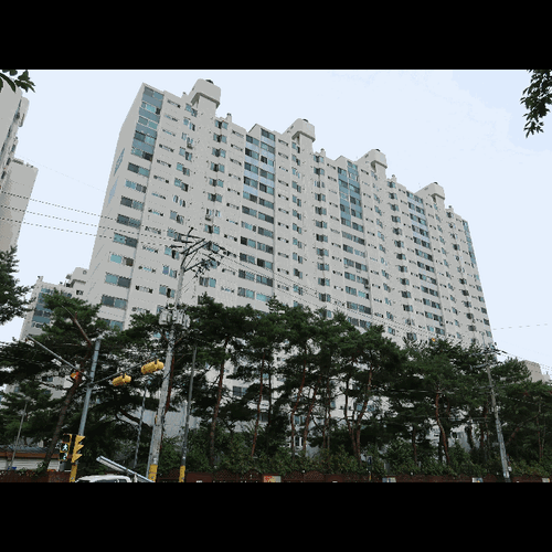 물건 사진