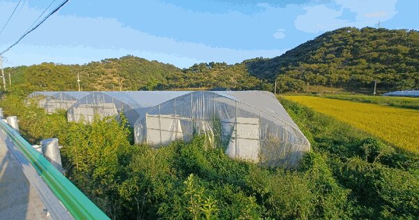 경상남도 진주시 미천면 오방리 268-5  답 경매 물건 이미지