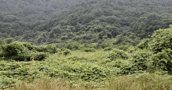 충청남도 공주시 사곡면 가교리 682 전 경매 물건 이미지