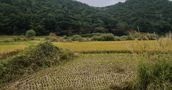 울산광역시 울주군 상북면 궁근정리 140-1 답 경매 물건 이미지