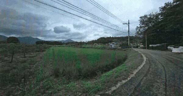 경상북도 포항시 북구 기북면 대곡리 1199-8 답 경매 물건 이미지