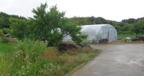 충청남도 서산시 팔봉면 어송리 1547 답 경매 물건 이미지