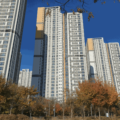 물건 사진