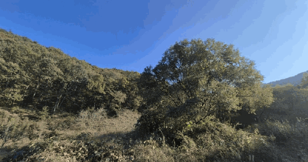 경상북도 상주시 모동면 신흥리 산26-5 임야 경매 물건 이미지