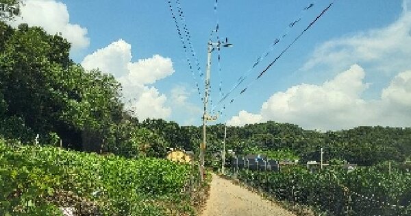 경기도 화성시 만세구 서신면 홍법리 381-2 대지 경매 물건 이미지