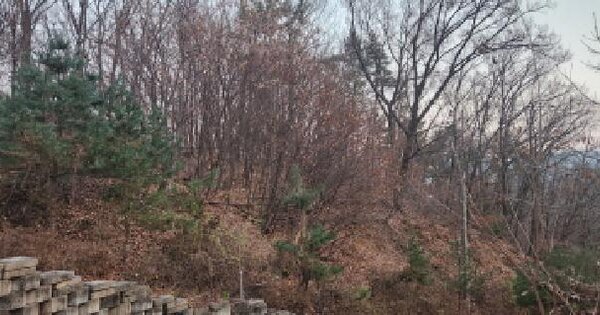 경기도 광주시 곤지암읍 유사리 362-17 임야 경매 물건 이미지
