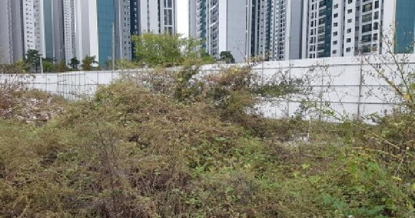 충청남도 천안시 서북구 성성동 232-3 대지 경매 물건 이미지