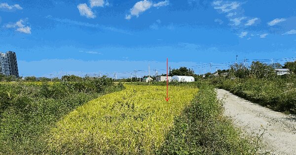 경상북도 포항시 북구 흥해읍 성곡리 1293-2 답 경매 물건 이미지
