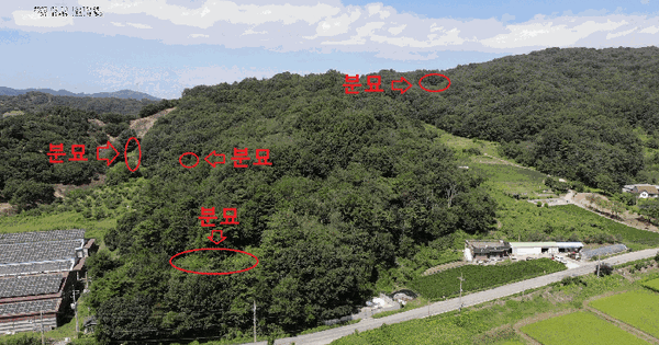 충청남도 공주시 의당면 도신리 산31-1 임야 경매 물건 이미지