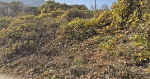 울산광역시 울주군 청량읍 율리 1142-18 과수원 경매 물건 이미지