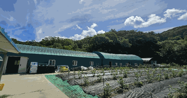 충청남도 아산시 송악면 송학리 산27-1 임야 경매 물건 이미지
