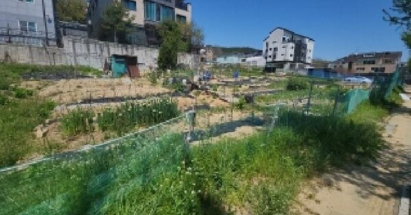 인천광역시 중구 운남동 1538-3 대지 경매 물건 이미지