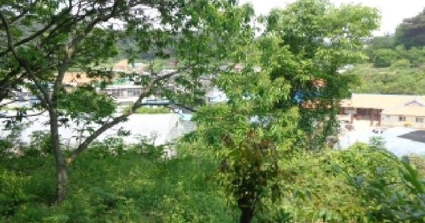 충청남도 태안군 안면읍 승언리 819-7 전 경매 물건 이미지