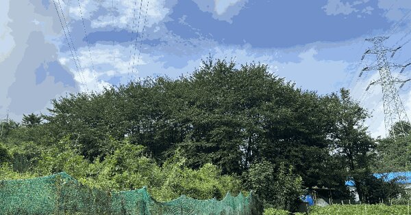 경상남도 양산시 명동 산23 임야 경매 물건 이미지