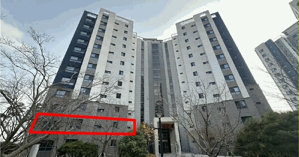 경기도 평택시 고덕동 2724-1 평택고덕국제신도시디에트르리비에르 1508동 2층201호 아파트 경매 물건 이미지