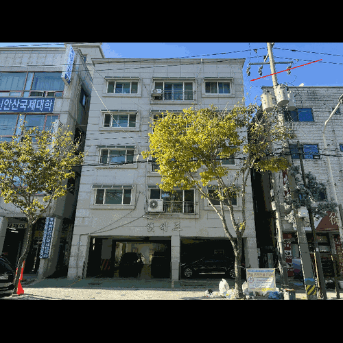 물건 사진