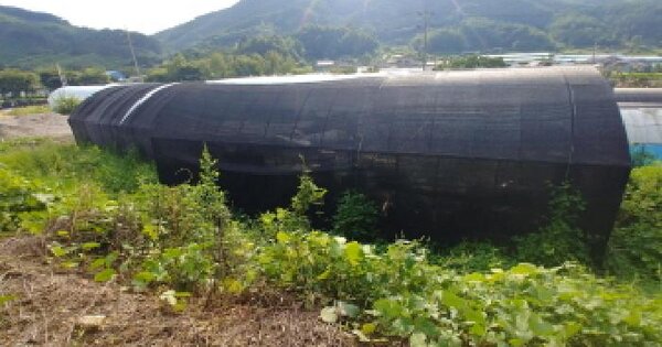 충청남도 금산군 추부면 서대리 219 답 경매 물건 이미지