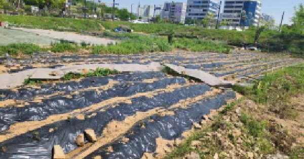 경기도 화성시 남양읍 남양리 2225-3 대지 경매 물건 이미지