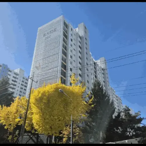 물건 사진