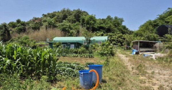 울산광역시 북구 상안동 157-1 답 경매 물건 이미지