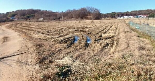 충청남도 당진시 고대면 대촌리 294-13 답 경매 물건 이미지