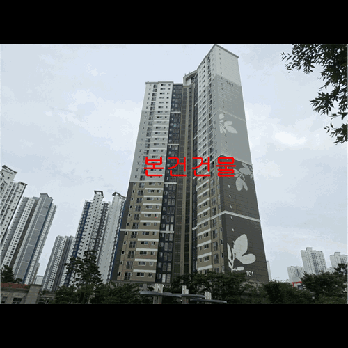 물건 사진