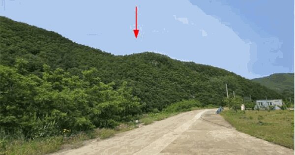 강원특별자치도 삼척시 미로면 천기리 산85 임야 경매 물건 이미지