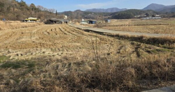 전남광주통합특별시 강진군 칠량면 단월리 818 답 경매 물건 이미지