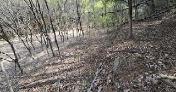 경상남도 사천시 곤명면 본촌리 571 전 경매 물건 이미지