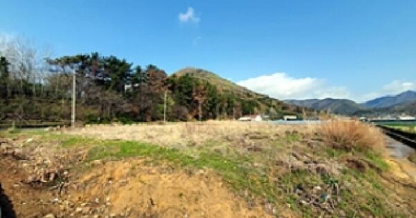 경상남도 김해시 대동면 예안리 316-14 답 경매 물건 이미지