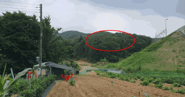 경기도 용인시 처인구 포곡읍 금어리 376-9 임야 경매 물건 이미지