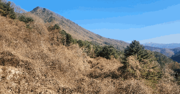 경기도 가평군 북면 백둔리 60  전 경매 물건 이미지