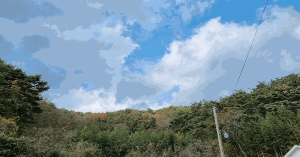 울산광역시 울주군 범서읍 중리 167-1 임야 경매 물건 이미지