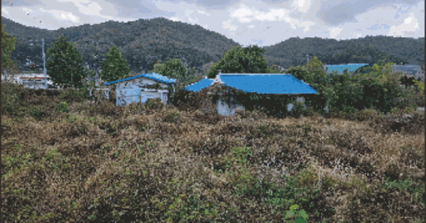충청남도 아산시 송악면 동화리 202 대지 경매 물건 이미지