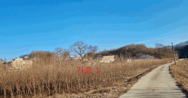강원특별자치도 원주시 지정면 간현리 1234 답 경매 물건 이미지