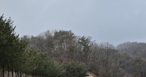 경기도 포천시 관인면 사정리 57-1 잡종지 경매 물건 이미지