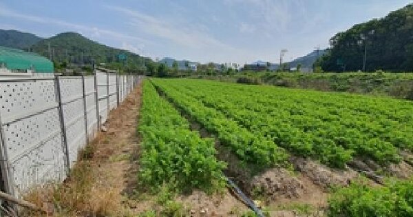 경상남도 김해시 상동면 대감리 977-1 답 경매 물건 이미지