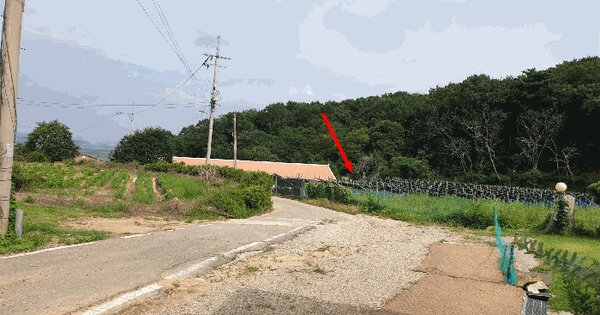 인천광역시 강화군 길상면 선두리 1053 답 경매 물건 이미지