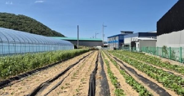 대구광역시 군위군 효령면 고곡리 1218-1 과수원 경매 물건 이미지