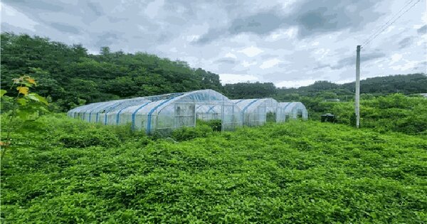강원특별자치도 횡성군 우천면 하궁리 648-1 답 경매 물건 이미지
