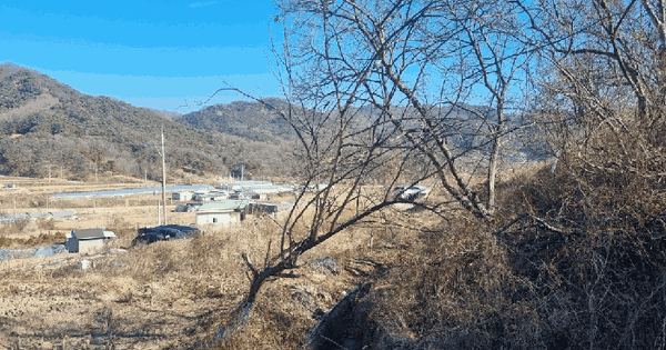 경상북도 칠곡군 기산면 죽전리 31-1 전 경매 물건 이미지
