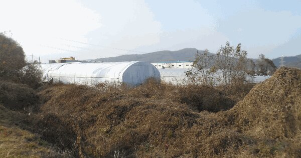 경상북도 성주군 용암면 사곡리 966 답 경매 물건 이미지