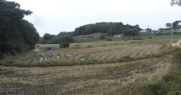 충청남도 서산시 부석면 칠전리 298-1 답 경매 물건 이미지
