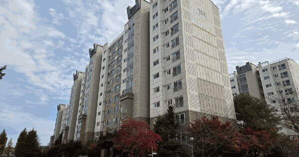 세종특별자치시  조치원읍 죽림리 396 자이아파트 106동 2층204호 아파트 경매 물건 이미지