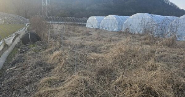 경상북도 칠곡군 동명면 금암리 1030-9 답 경매 물건 이미지
