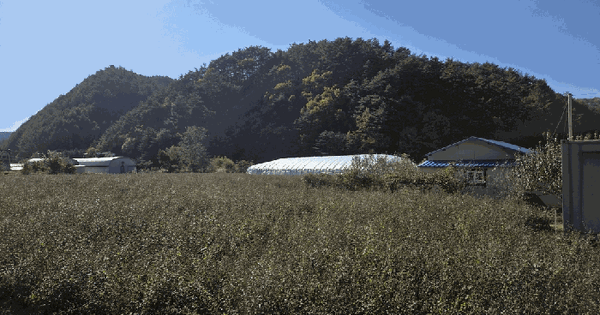 강원특별자치도 정선군 임계면 직원리 225 전 경매 물건 이미지