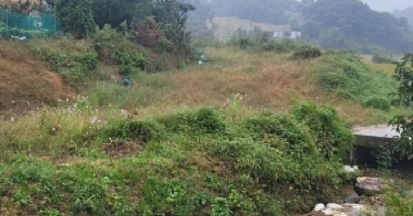 충청남도 공주시 의당면 도신리 278 답 경매 물건 이미지